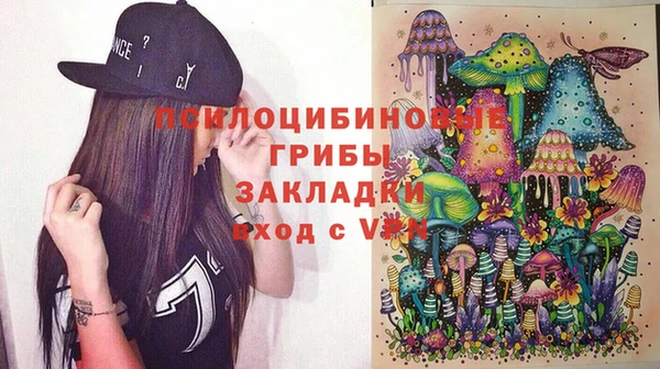 а пвп мука Абаза