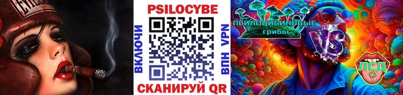 Псилоцибиновые грибы Psilocybe купить наркотик Каменногорск
